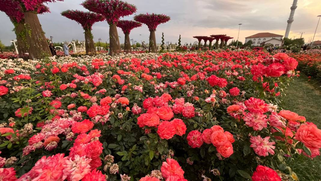 Konya’nın günbatımında masalsı manzara sunan parkı 28